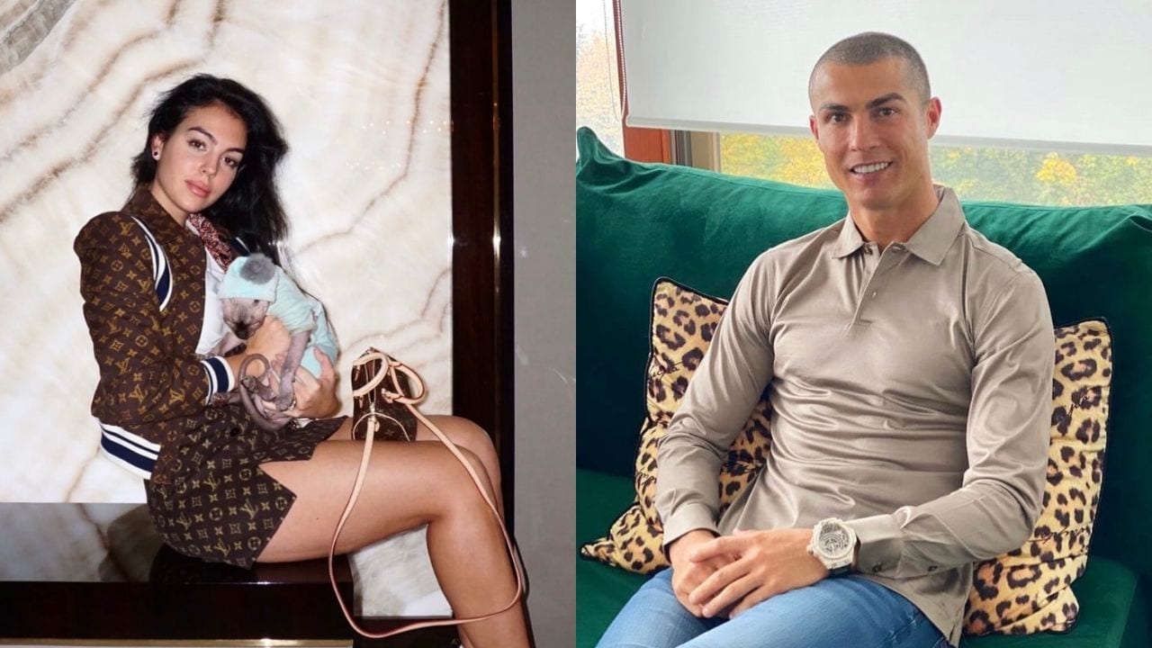 ¡Insólito! Cristiano Ronaldo y Georgina envían a su gato en jet privado tras ser atropellado