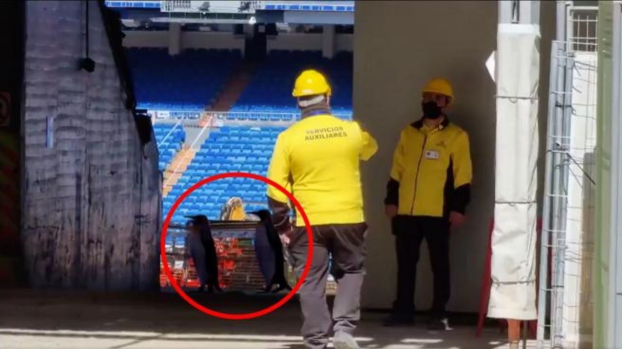 ¡Insólito! Aparecen dos intrusos en el Bernabéu y provocan burlas en redes