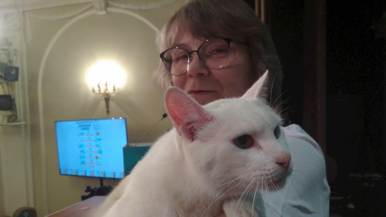 El gato ruso Aquiles pronostica al ganador del duelo entre Turquía e Italia de la Euro 2020