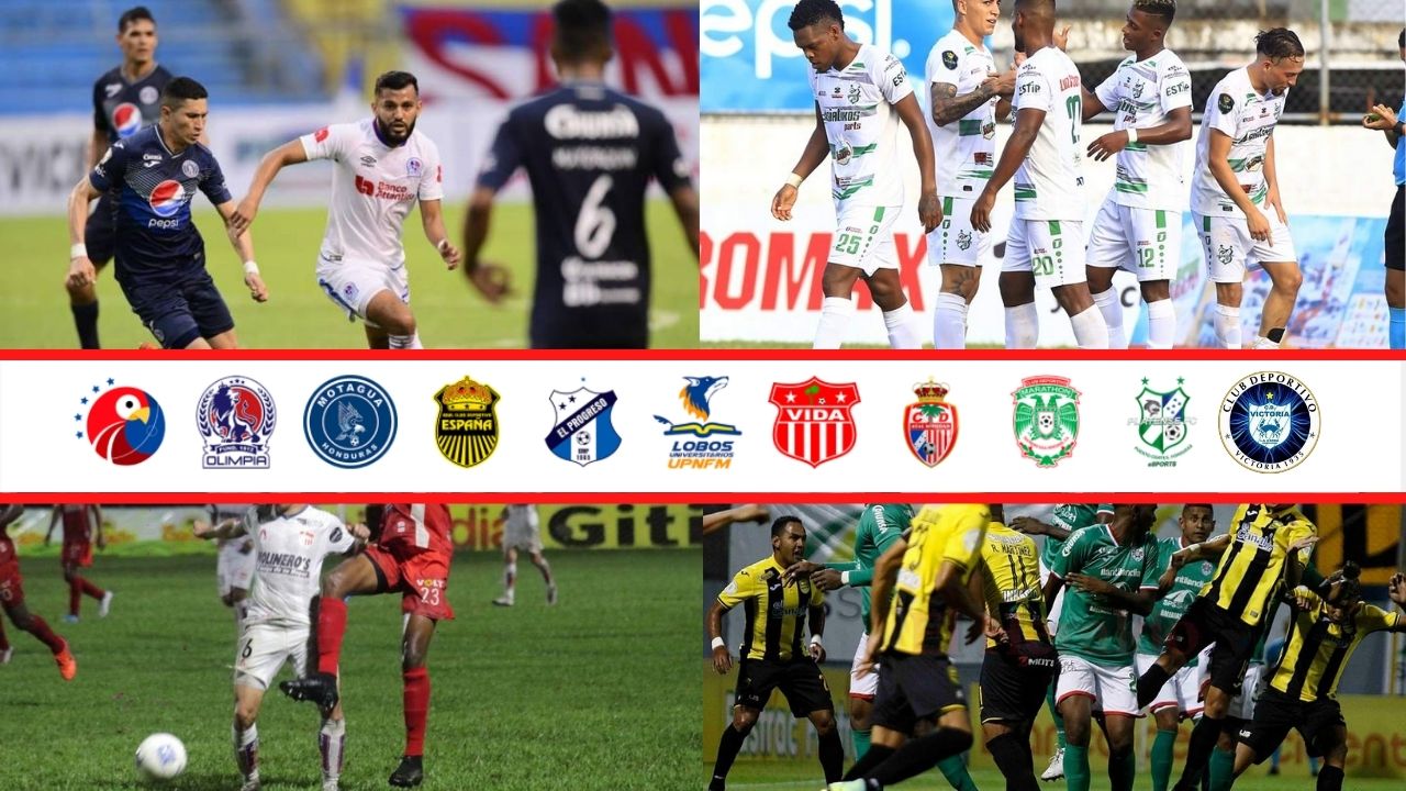 Conoce cómo están los equipos de la Liga 5 Estrellas previo al arranque de la pretemporada