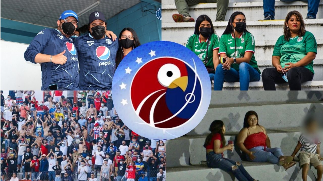 Liga Nacional revela castigos para equipos que incumplieron el protocolo de Sinager
