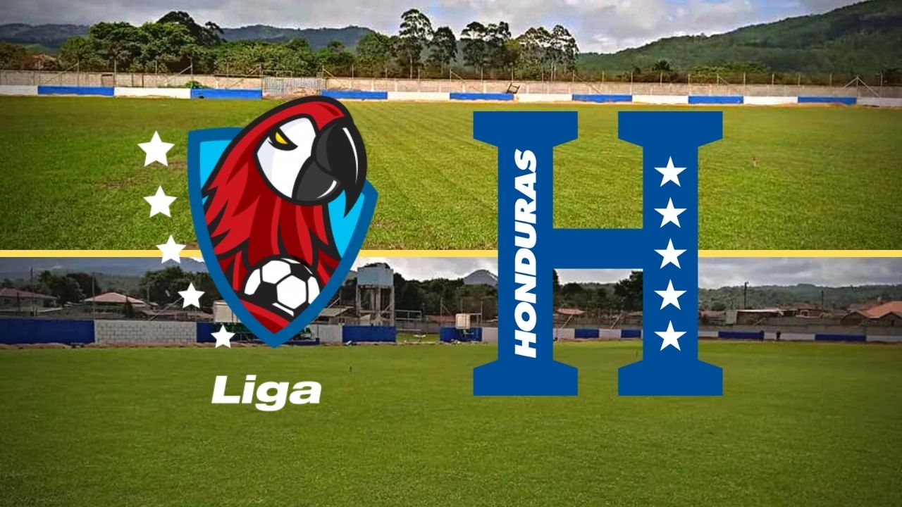 Nuevo estadio de La Esperanza avanza con velocidad y apunta ser sede para la Liga Nacional y la H