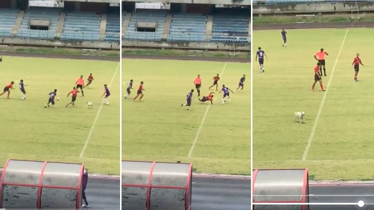 Jugador recibe 'falta' por un perro en el fútbol de Venezuela