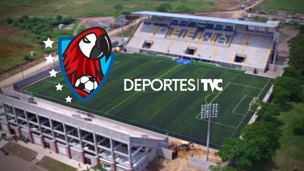 Equipo de Liga Nacional anuncia construcción de estadio con cancha artificial