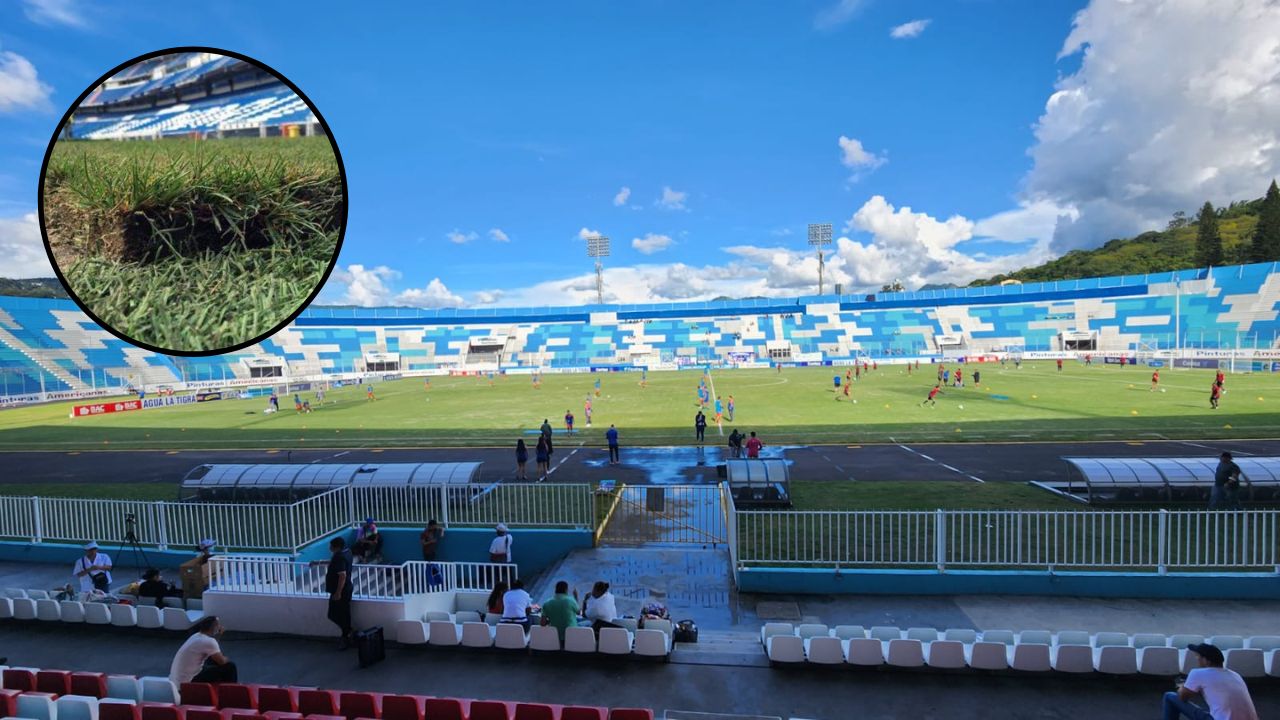 Definen la fecha en la que el estadio Nacional Chelato Uclés tendrá grama híbrida