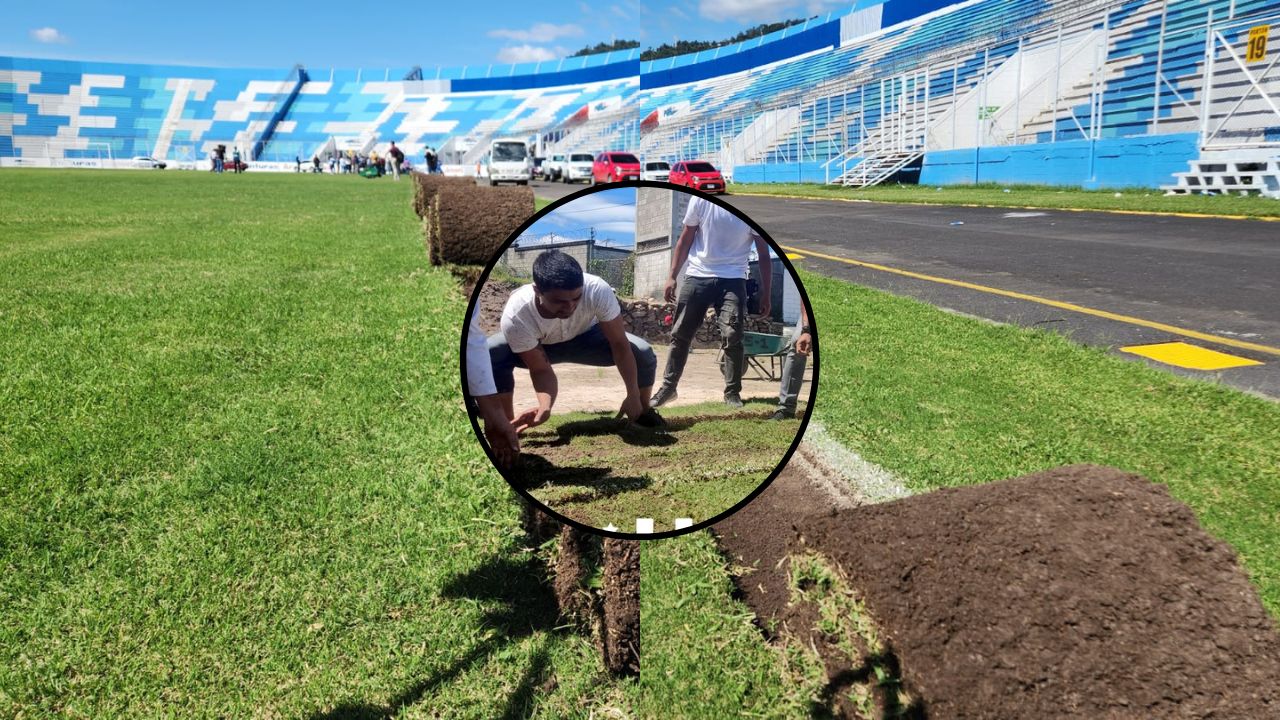 Grama del estadio Nacional Chelato Uclés ya fue instalada en su nuevo lugar asignado
