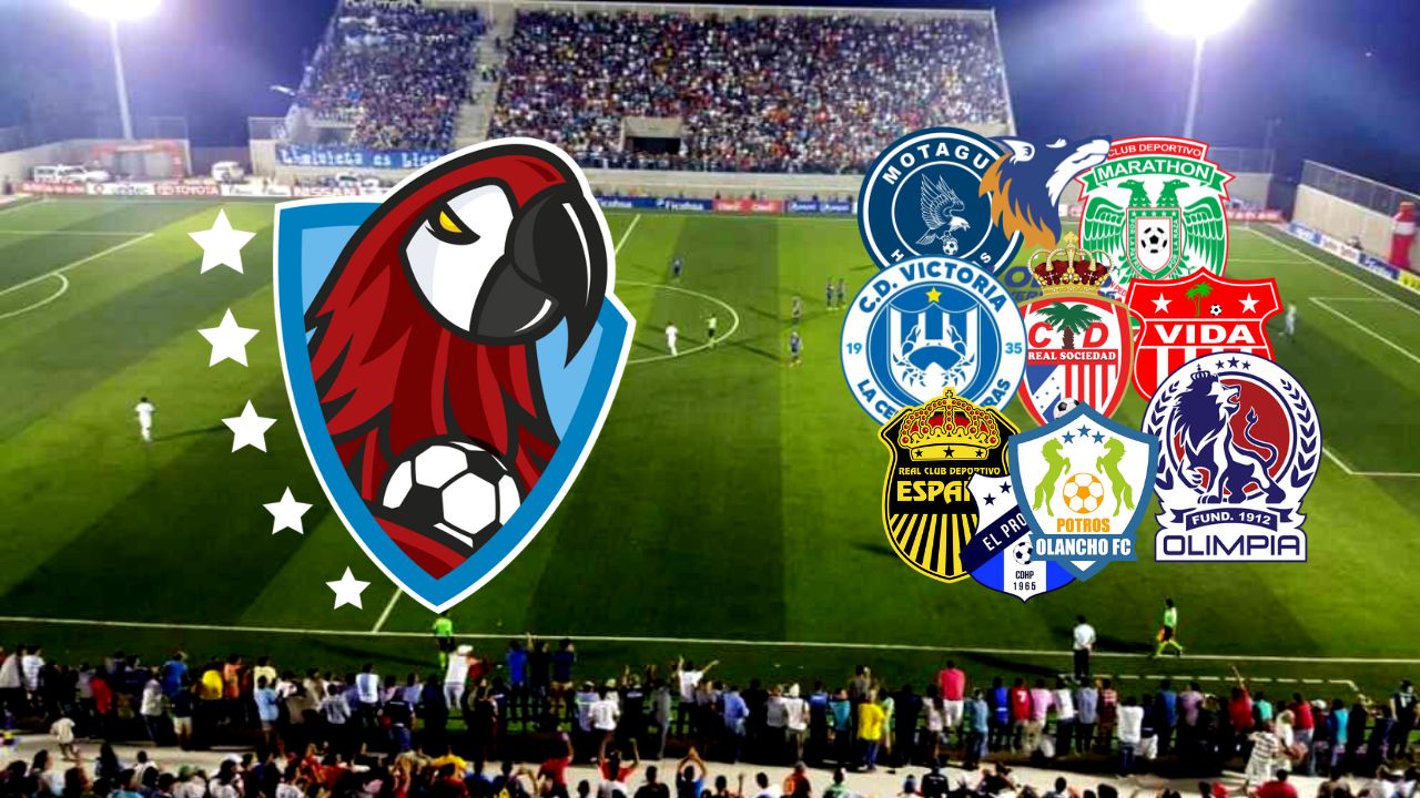 Así se jugará la jornada 9 de la Liga Nacional, horarios y canales para ver los partidos