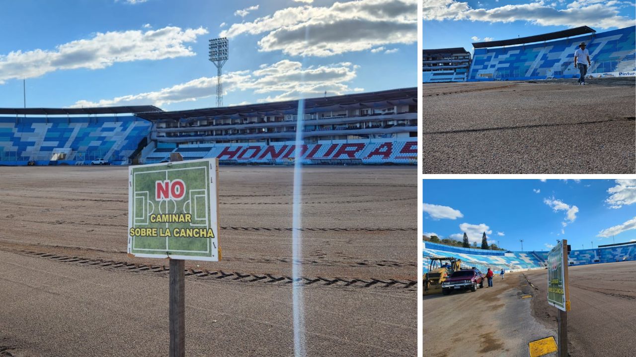 La remodelación del estadio Chelato Uclés no se detiene y comienza el proceso de siembra de la nueva grama