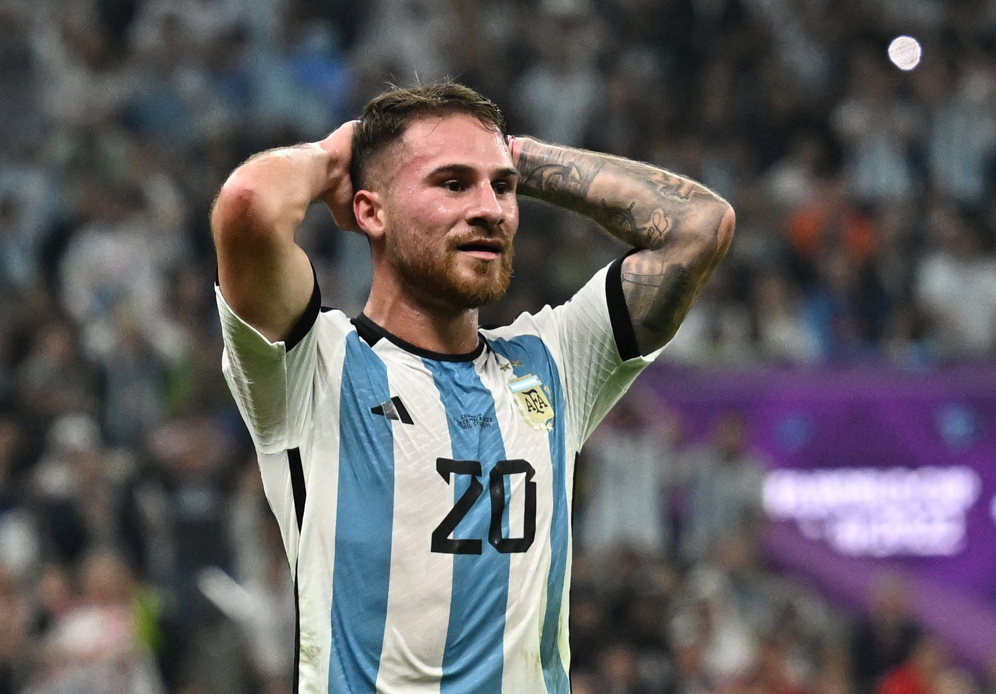 Desde el Mundial de Qatar 2022, Alexis Mac Allister se volvió fundamental para la Albiceleste, jugando seis partidos en los que anotó un gol y repartió una asistencia. Foto: REUTERS