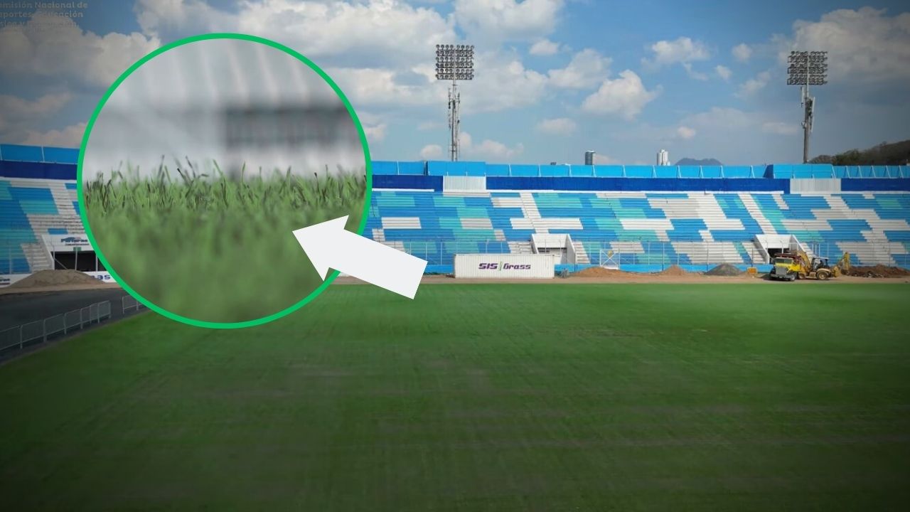 Revelan por qué la demora en la entrega de la grama híbrida del  estadio Nacional