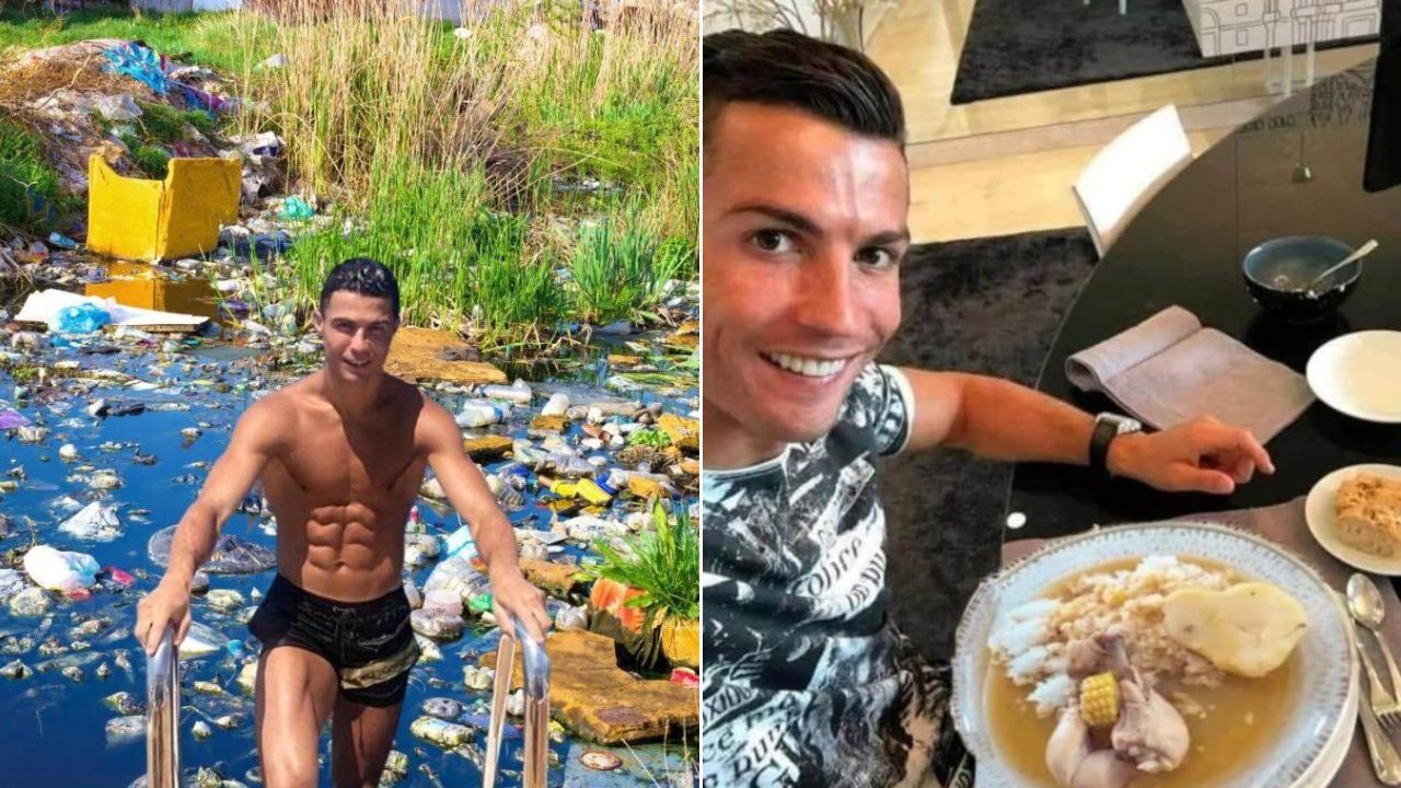 El Bicho humilde, ¿qué significa el popular meme y cuál es su origen?