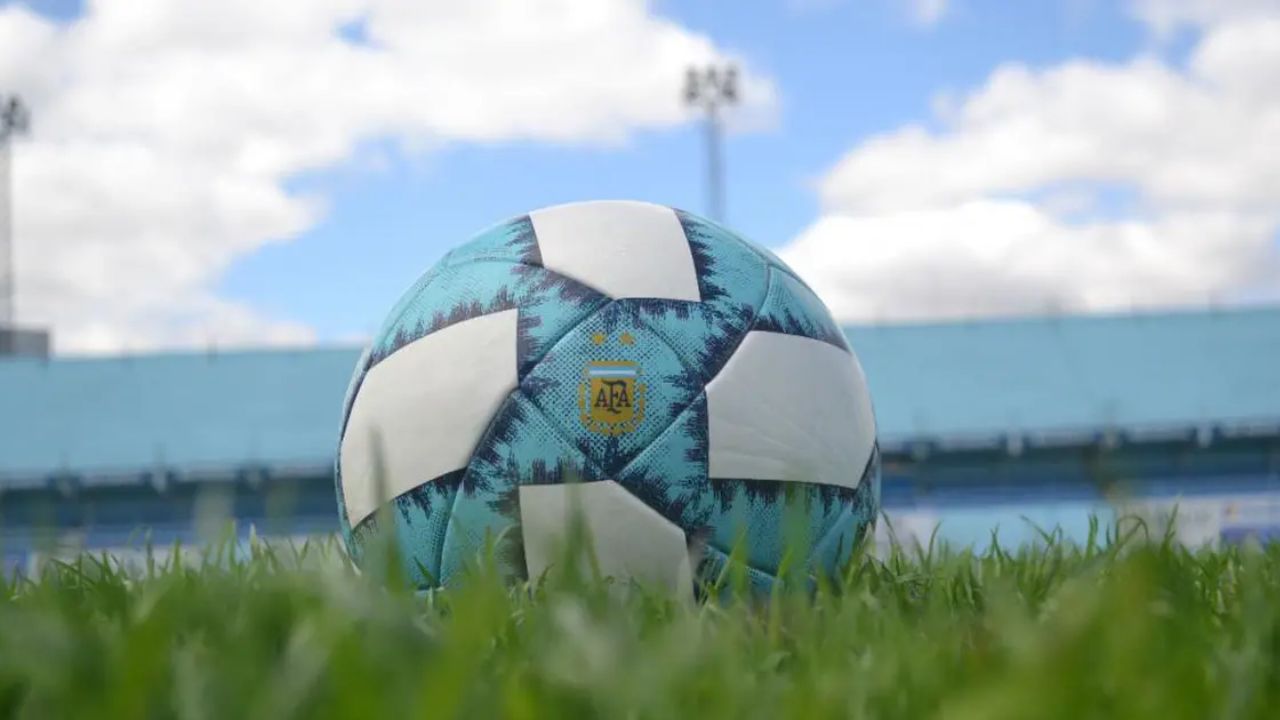 ¿Quién es el máximo goleador del fútbol argentino?, jugadores con más goles en la Primera División