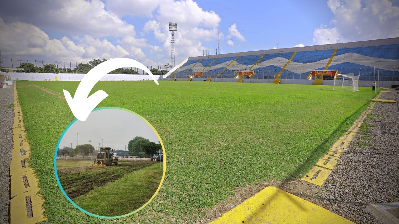 Revelan el destino de la grama vieja del estadio Morazán
