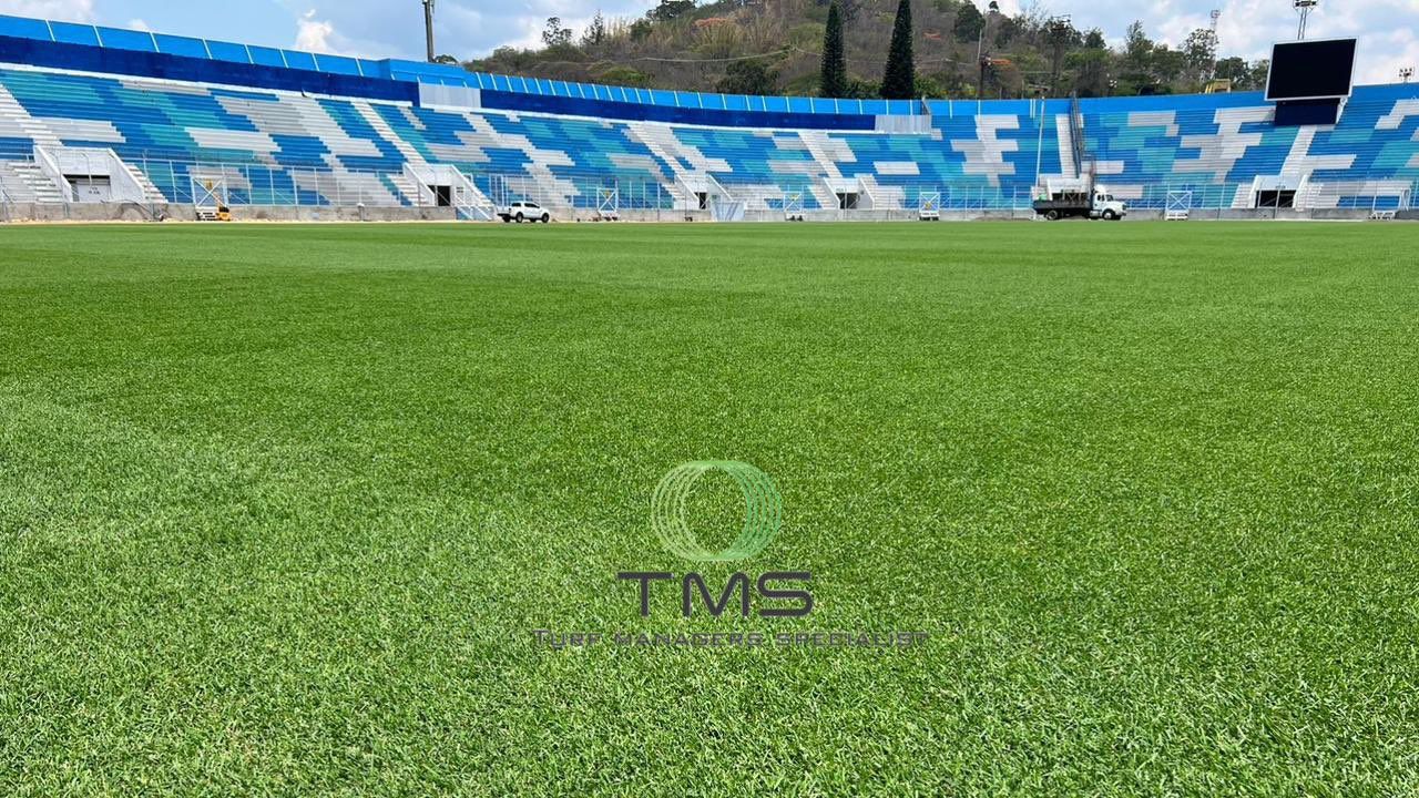 Esto le está pasando a la parte natural de la nueva grama del estadio Nacional Chelato Uclés