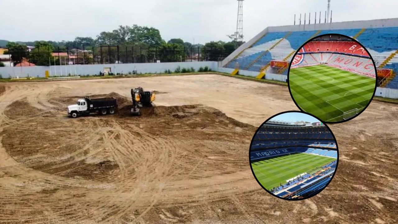 Grama del estadio Morazán será igual que la del estadio del Bayern Múnich y Real Madrid