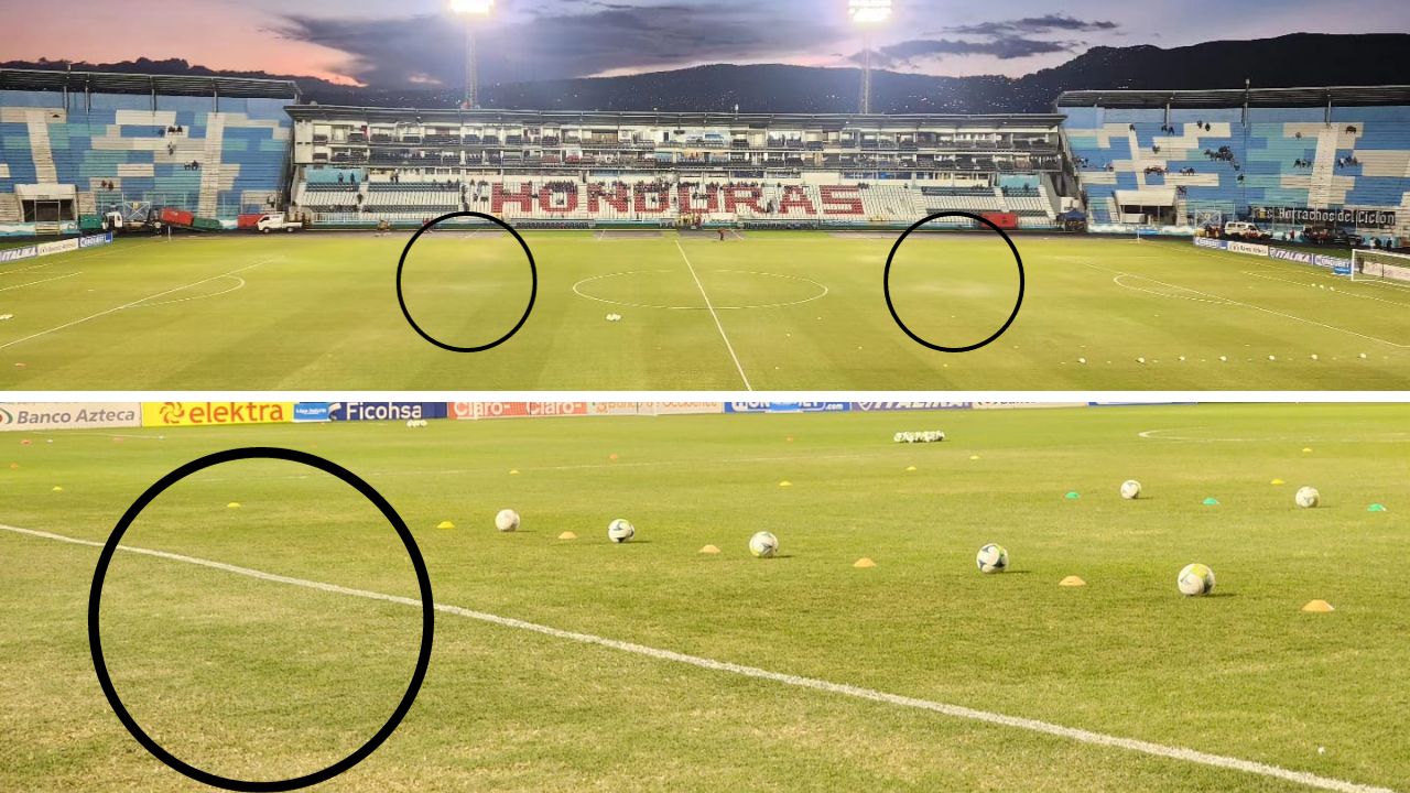 La razón de los distintos colores de la grama del Estadio Nacional Chelato Uclés