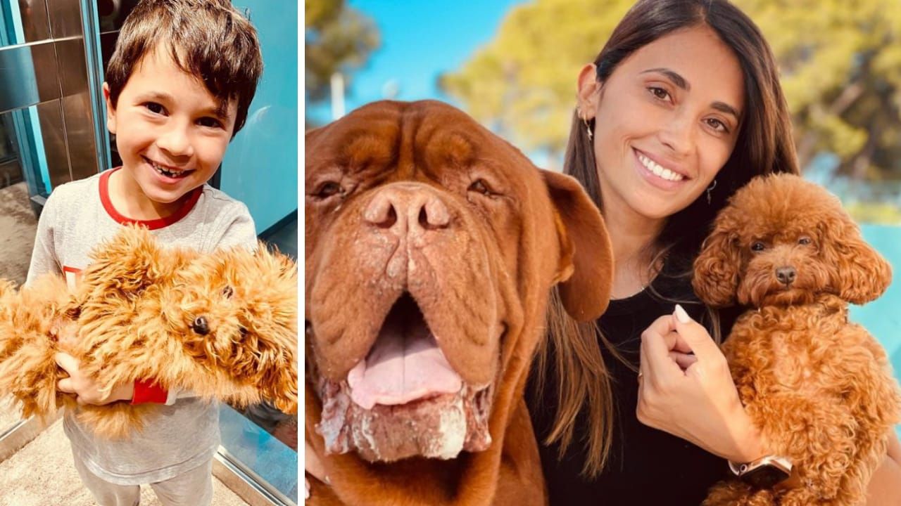 Perro de Messi, ¿cómo se llama, de qué raza es, precio y cuántos caninos tiene el astro argentino?