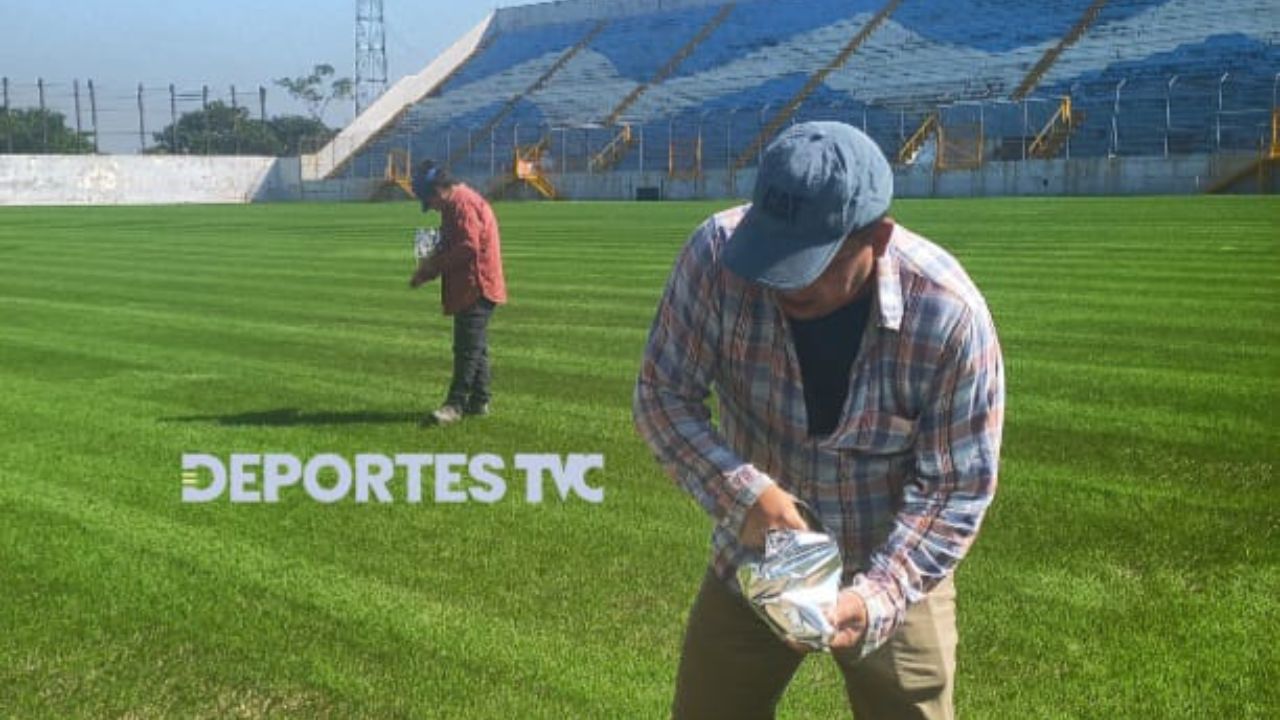 Así está quedando la nueva grama del estadio Morazán de San Pedro Sula