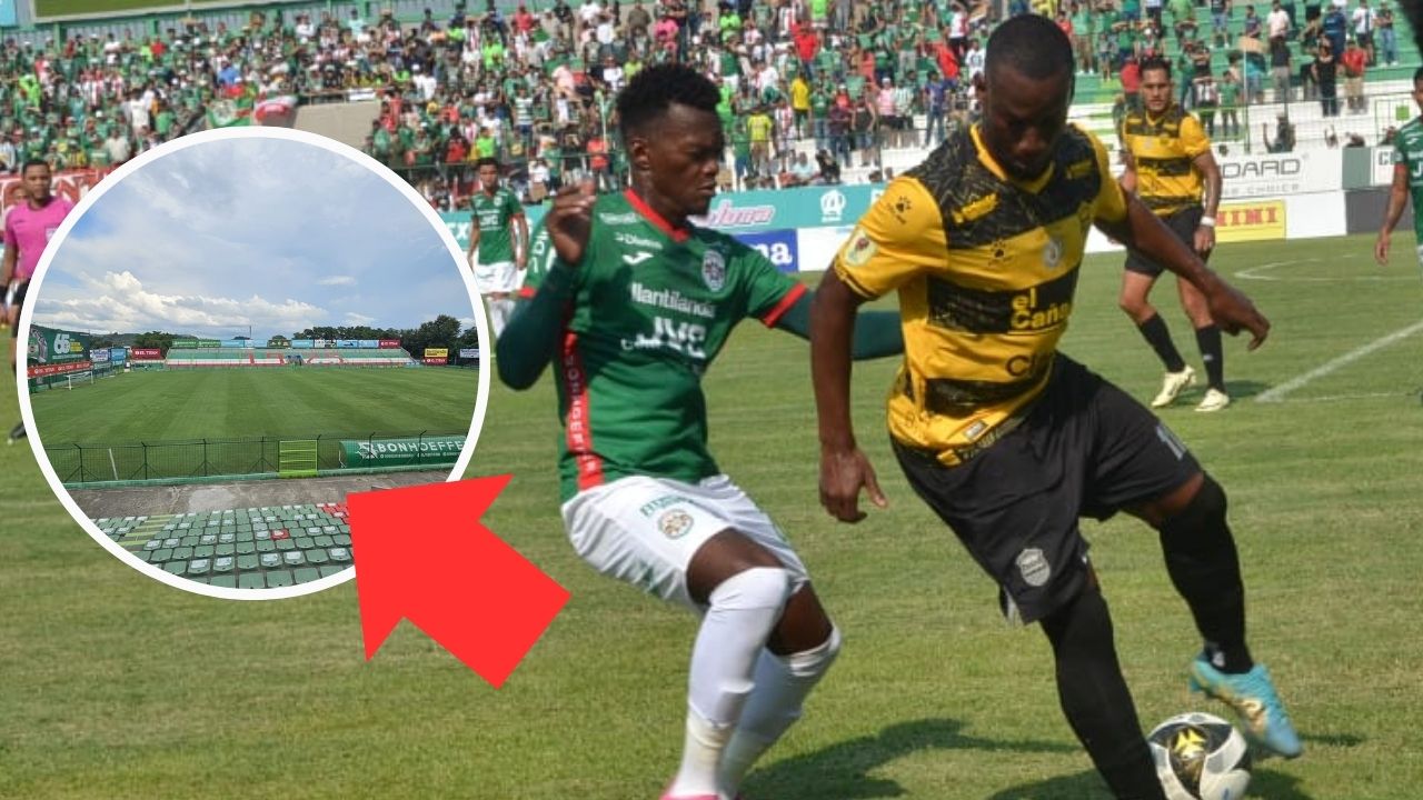 Así luce la grama del estadio Yankel Rosenthal previo a su reapertura