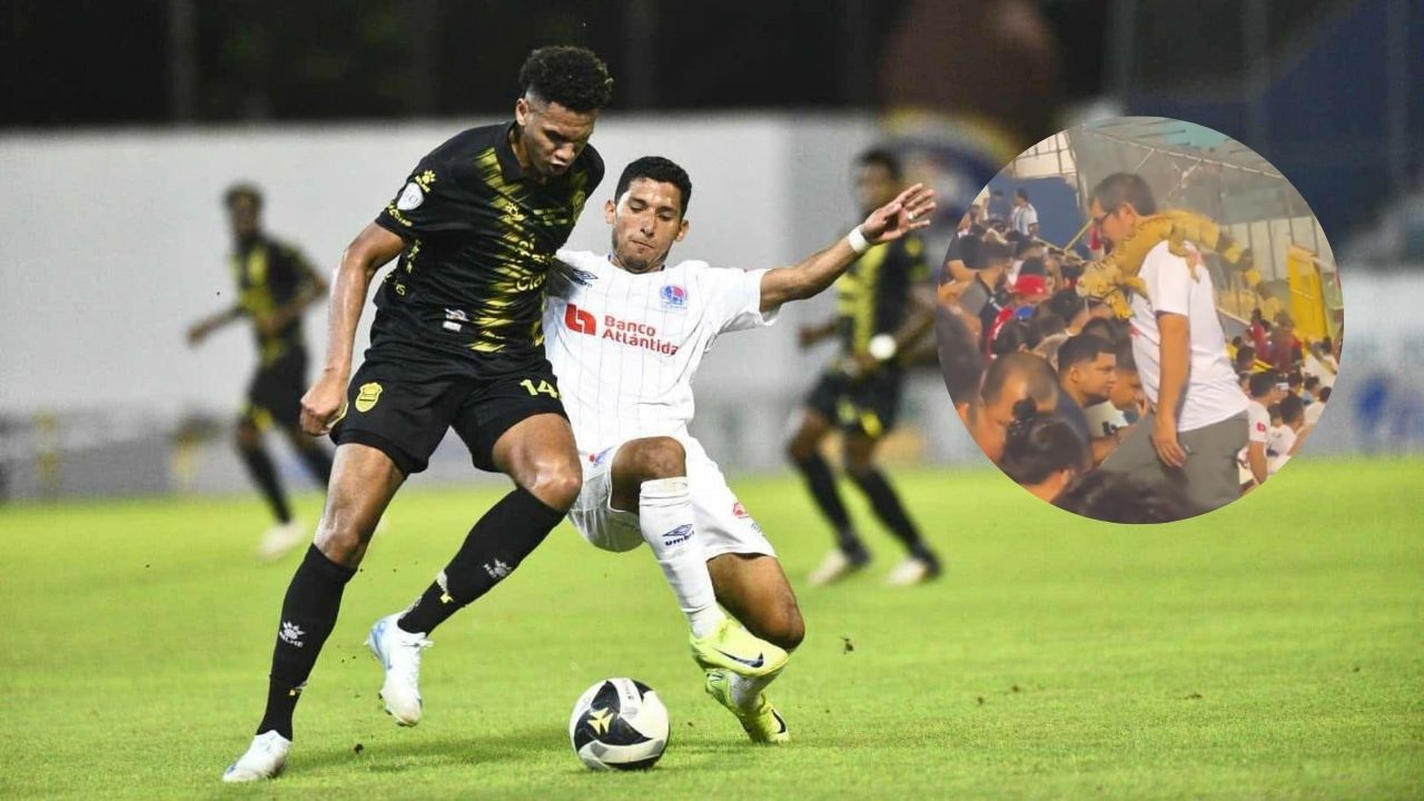 El curioso animal que fue captado en el partido Real España vs Olimpia