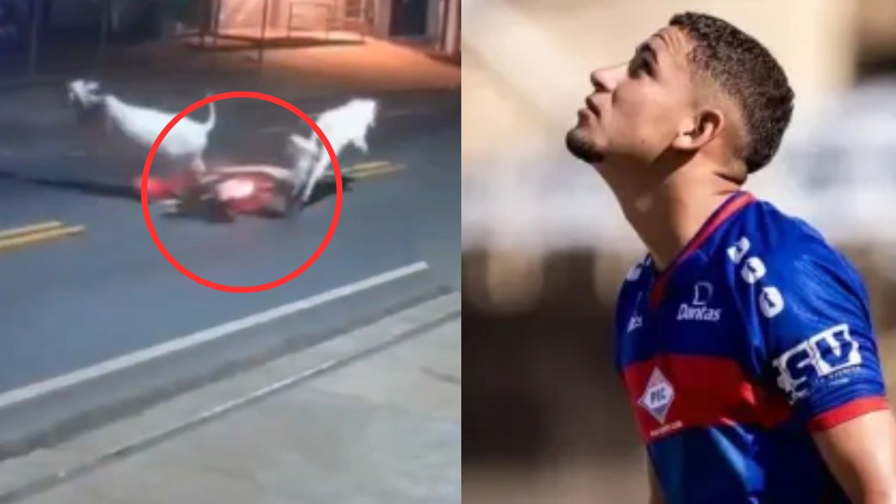 Jugador muerte tras chocar con una vaca en su motocicleta