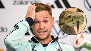 Imagen de Alemania encuentra una peligrosa serpiente en su hotel del Mundial
