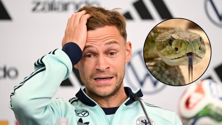 Alemania encuentra una peligrosa serpiente en su hotel del Mundial