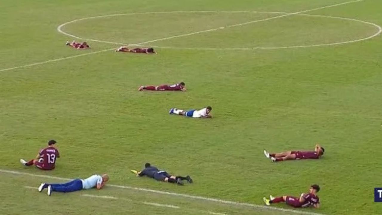 Ataque de insectos siembra terror y detiene partido de fútbol por varios minutos