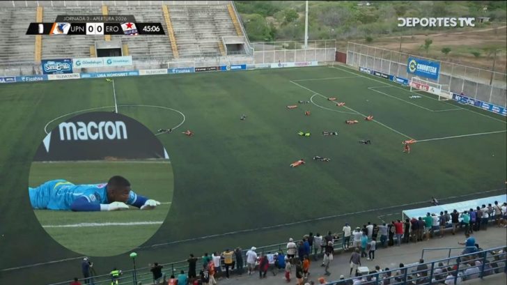 Partido UPNFM vs Estrella Roja fue interrumpido por enjambre de abejas