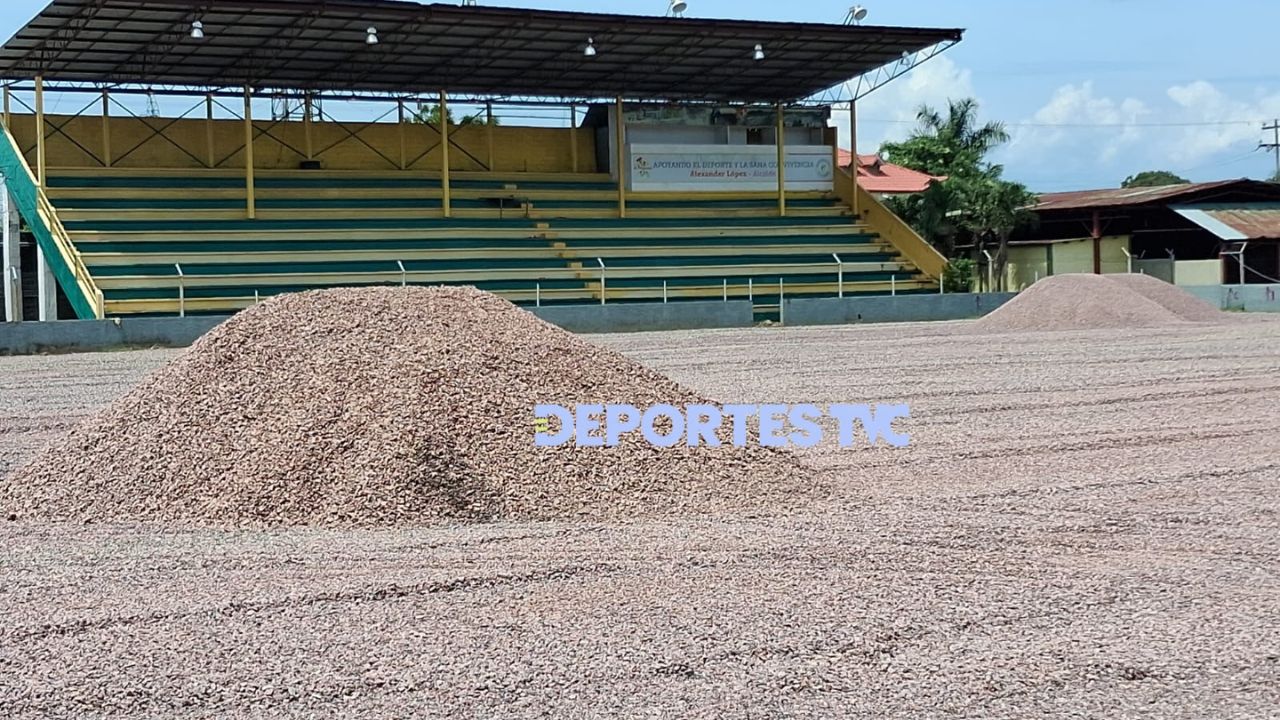 Estadio Humberto Micheletti conoce cuándo tendrá instalada su nueva grama